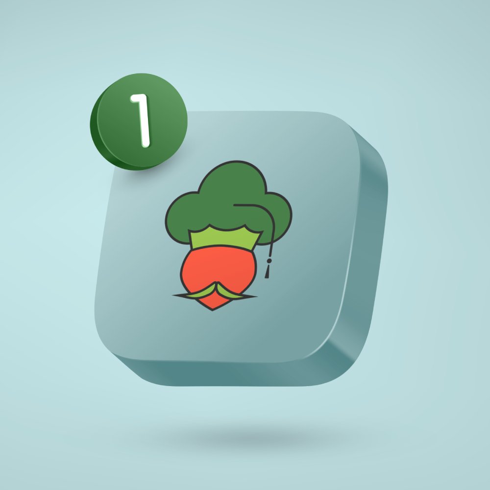 Large Design Project